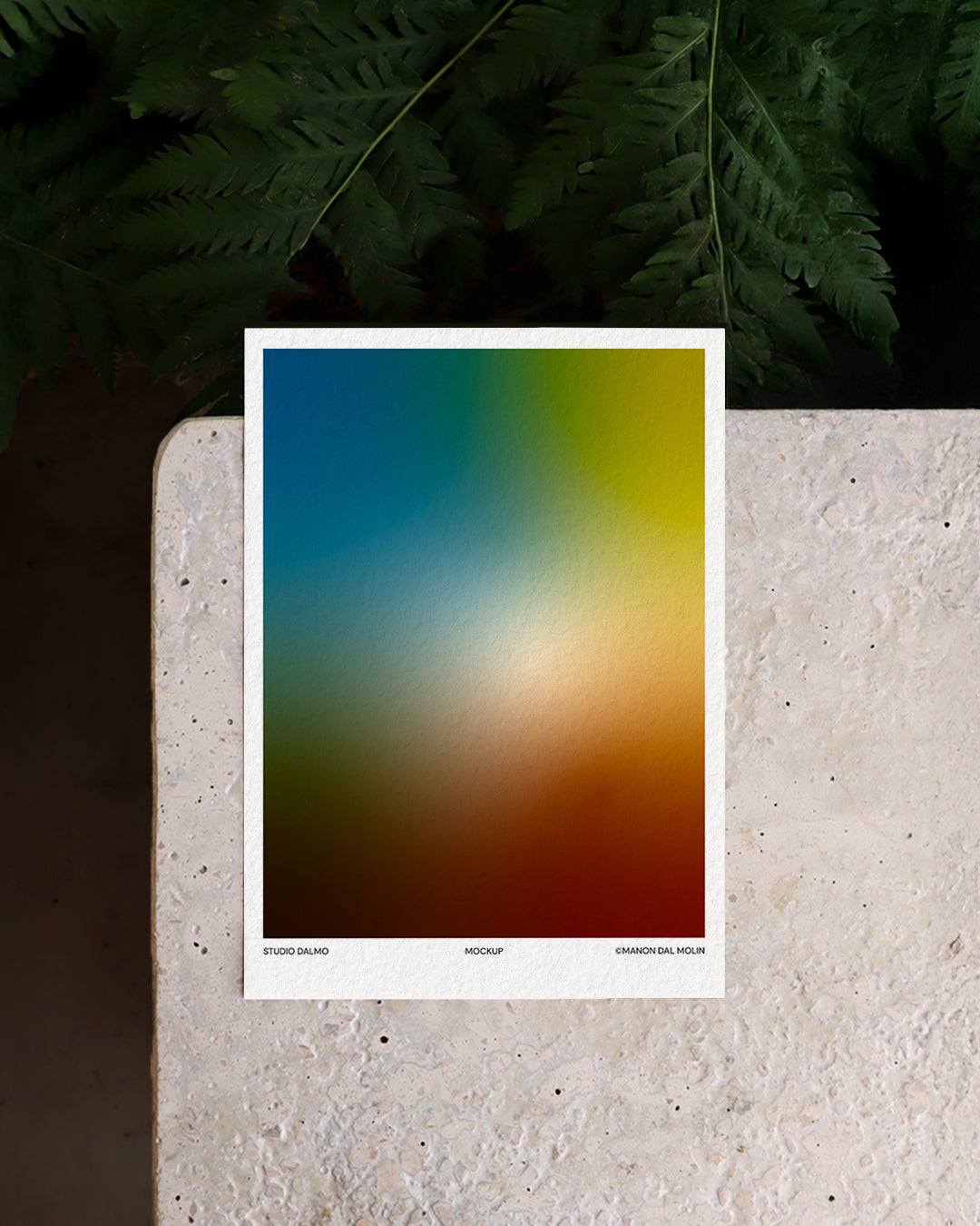 MOCKUP-FRONT-VIEW- MOCKUP-POLISHED CONCRETE & NATURE